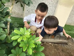 獲得國(guó)際學(xué)前教育界高度肯定的“安吉游戲”，東辰的幼兒園是怎么做的？